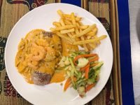 Lomito de la casa 2